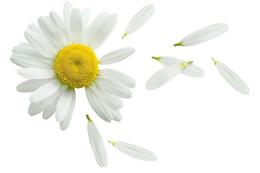 Le coaching, pour qui, pourquoi?